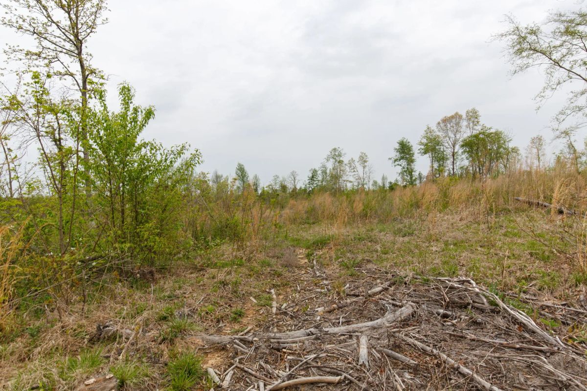 Decorative background for Twin Rivers Tract 20 image 11