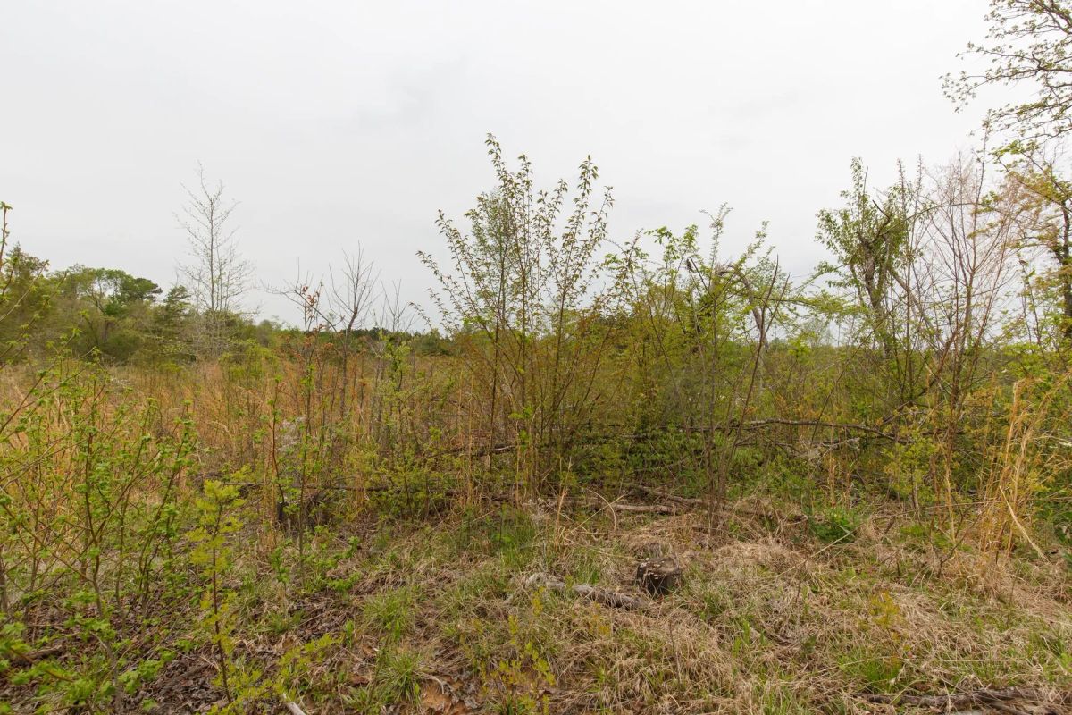 Decorative background for Twin Rivers Tract 20 image 12