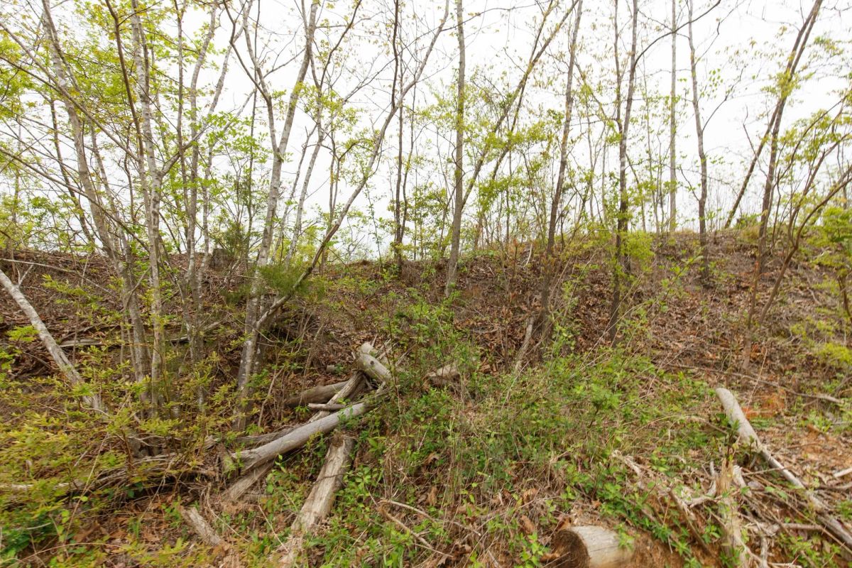Decorative background for Twin Rivers Tract 20 image 13