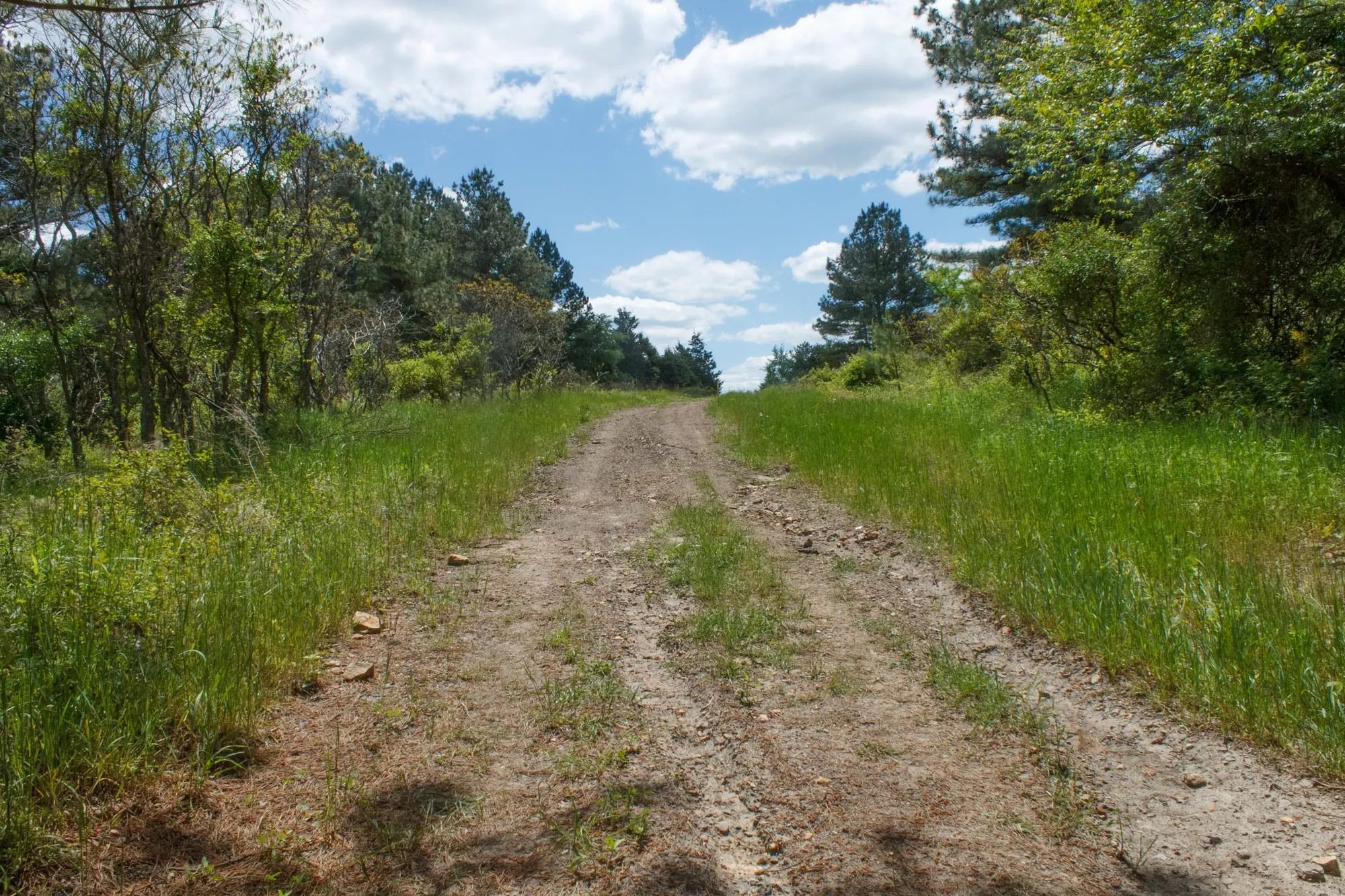 Riverbend Tract 29