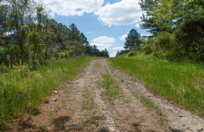 Riverbend Tract 29