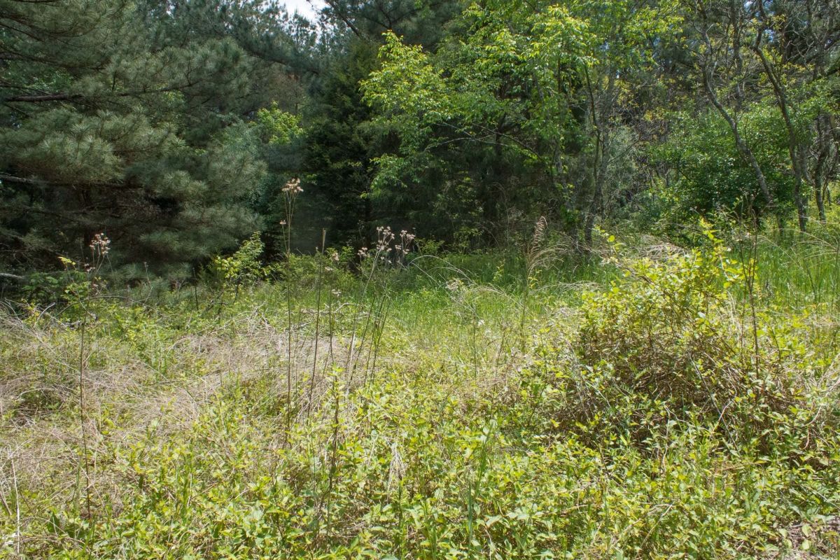 Riverbend Tract 29 - Image 3