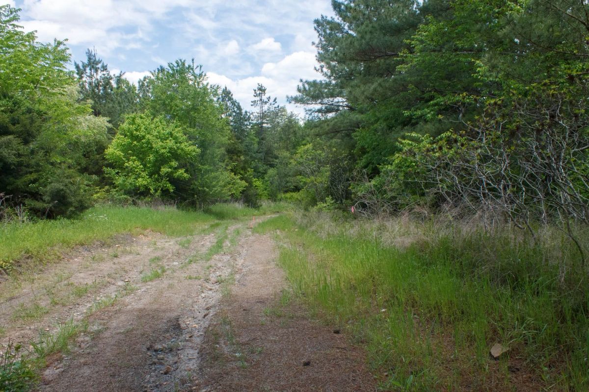 Riverbend Tract 29 - Image 4