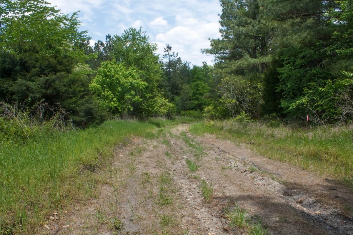 Decorative background for Riverbend Tract 29 image 5