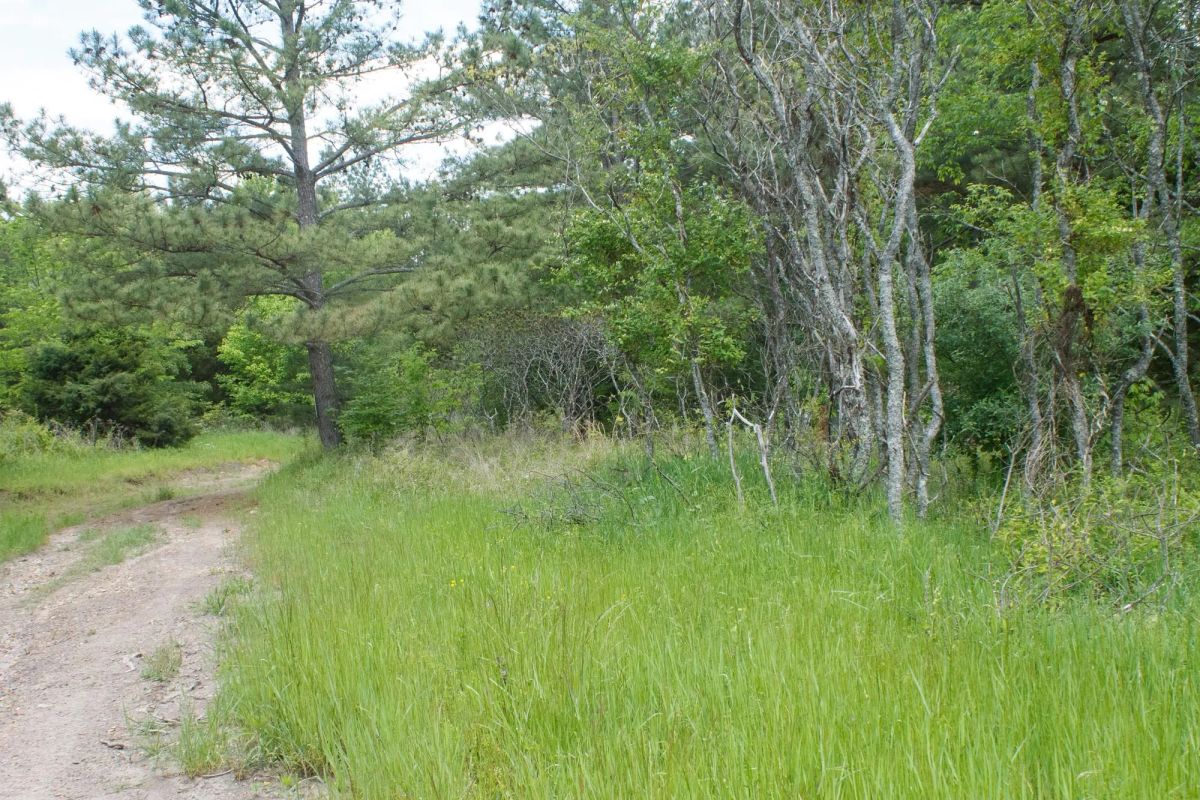 Decorative background for Riverbend Tract 29 image 11