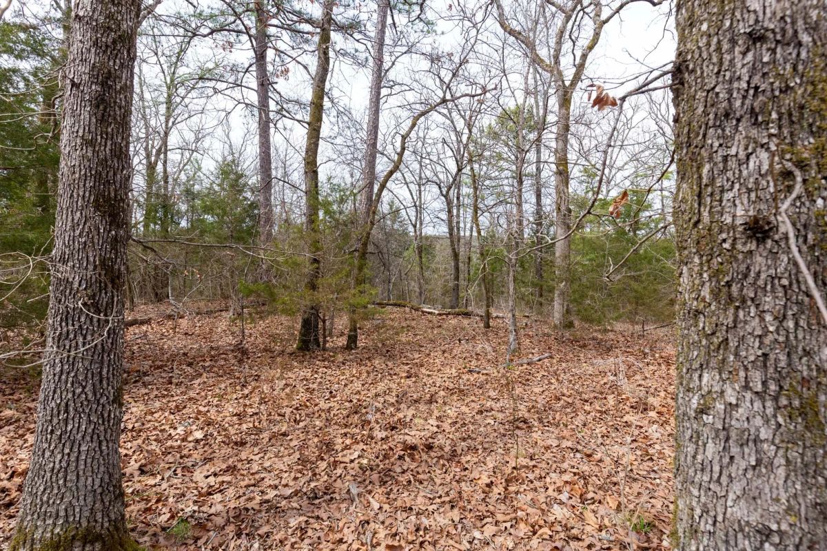 Stone Bridge Phase III Tract 149 - Image 3