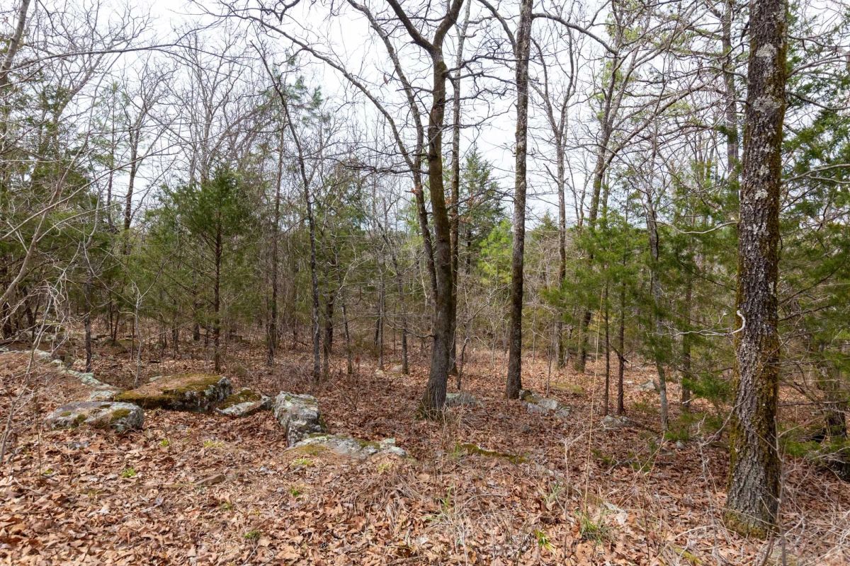 Stone Bridge Phase III Tract 149 - Image 4