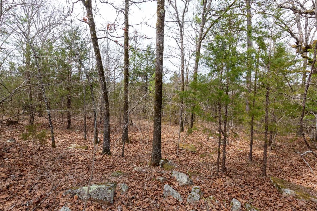 Decorative background for Stone Bridge Phase III Tract 149 image 5