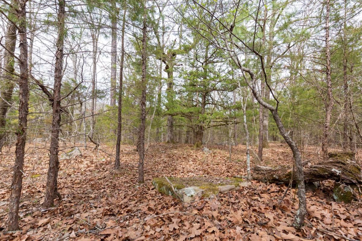 Decorative background for Stone Bridge Phase III Tract 149 image 6