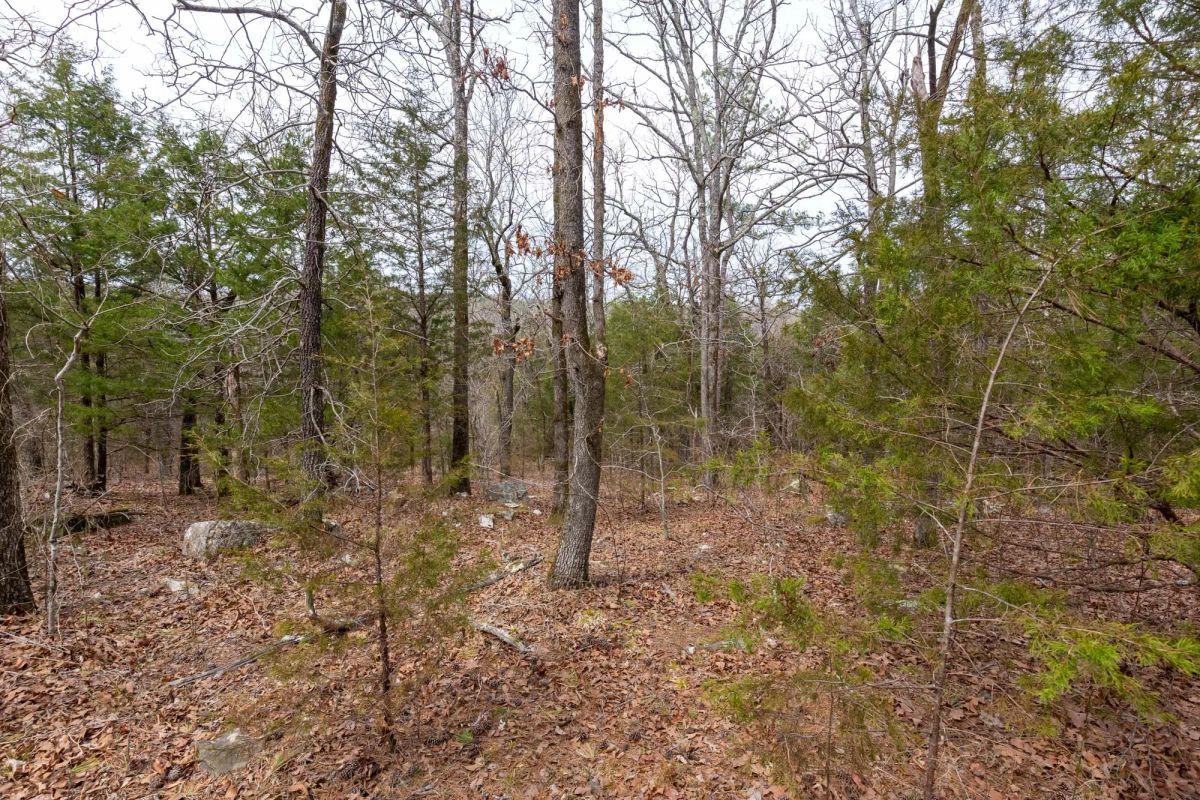 Decorative background for Stone Bridge Phase III Tract 149 image 7