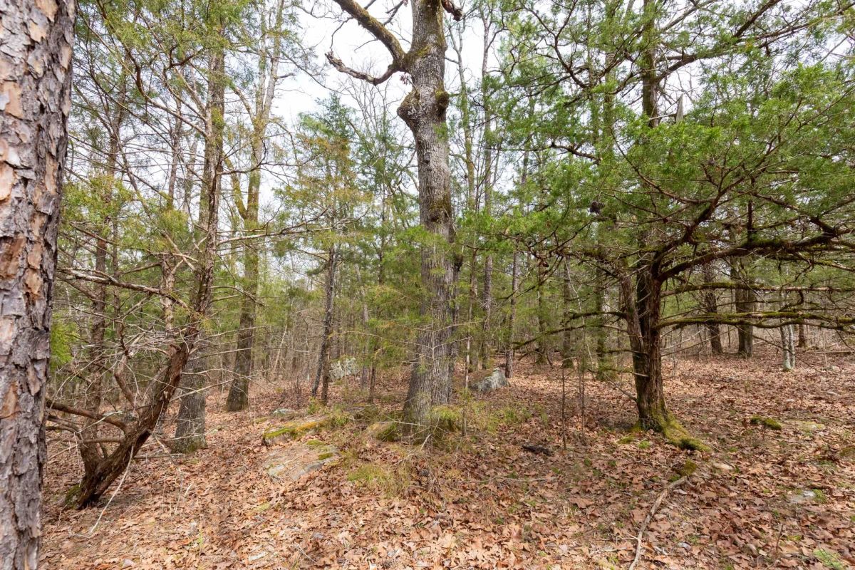 Decorative background for Stone Bridge Phase III Tract 149 image 8