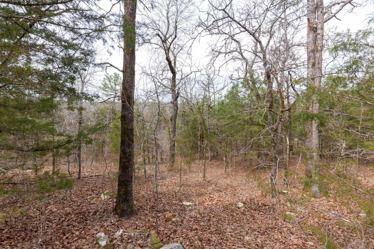 Decorative background for Stone Bridge Phase III Tract 149 image 9
