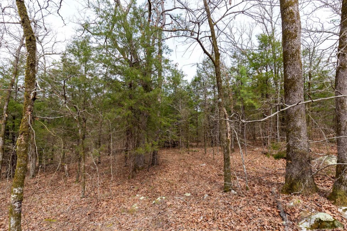 Decorative background for Stone Bridge Phase III Tract 149 image 10