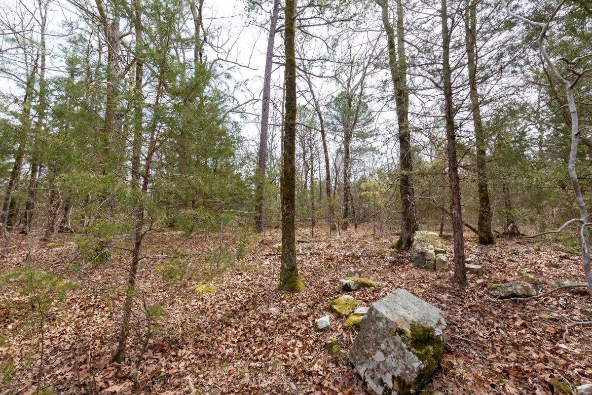 Decorative background for Stone Bridge Phase III Tract 149 image 11
