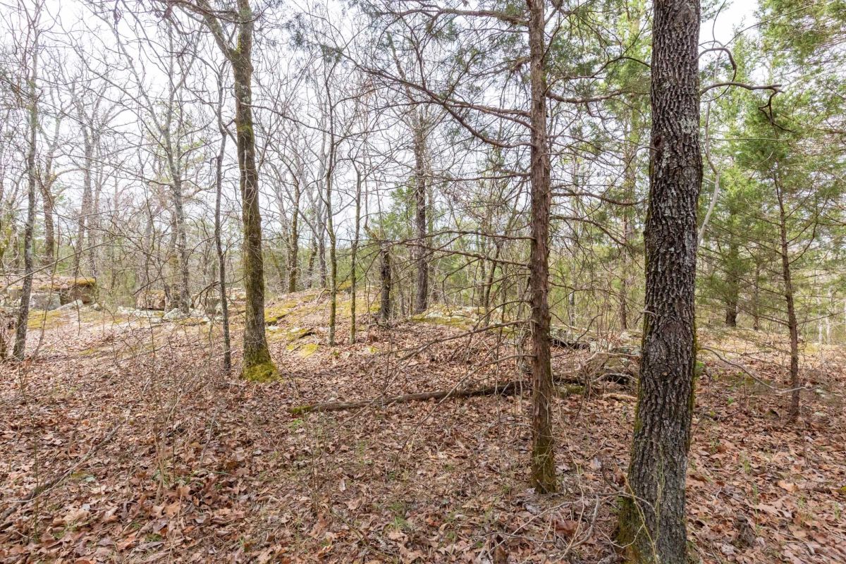Decorative background for Stone Bridge Phase III Tract 149 image 12