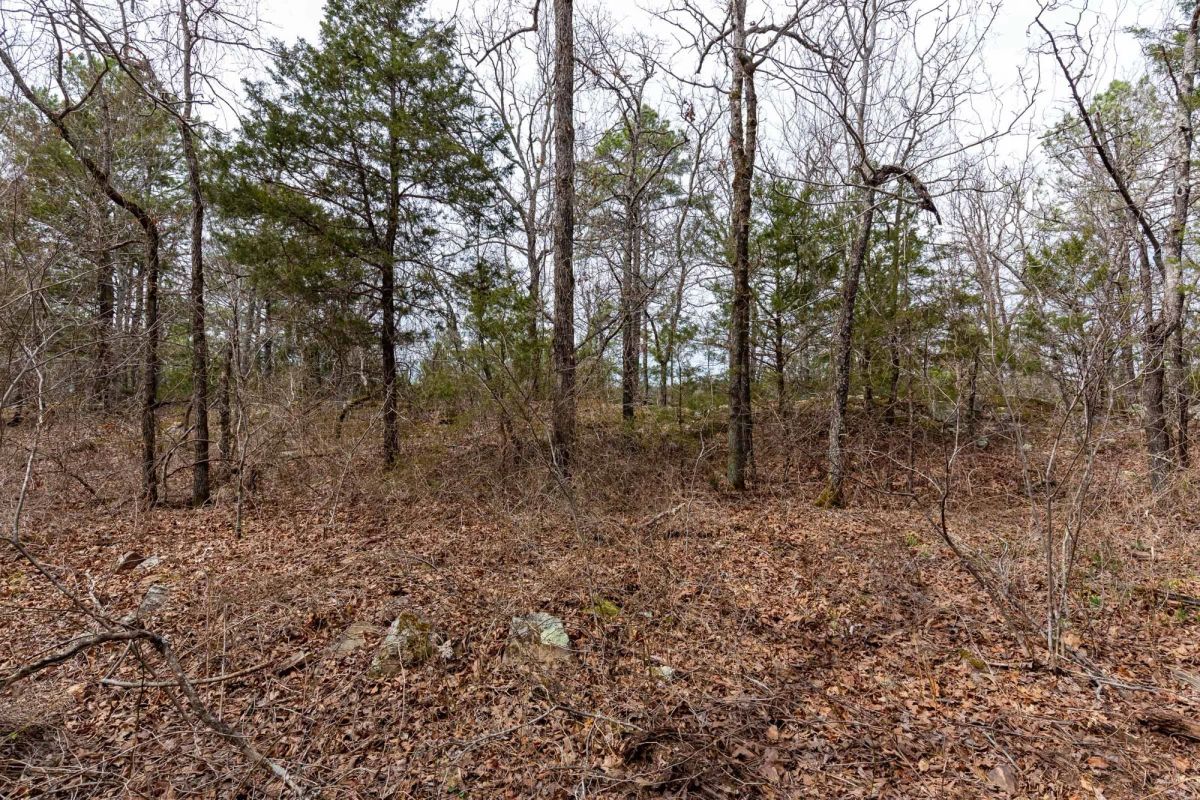 Decorative background for Stone Bridge Phase III Tract 149 image 13