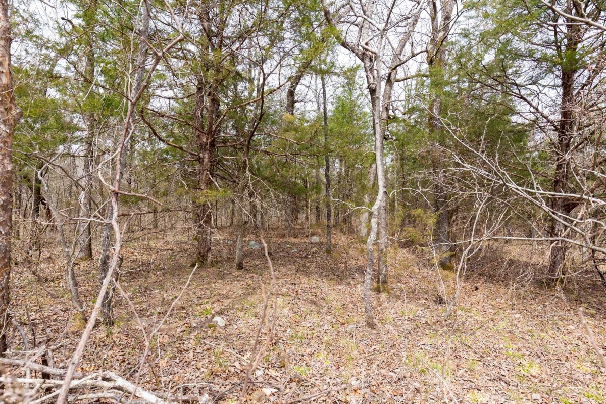 Decorative background for Stone Bridge Phase III Tract 149 image 14