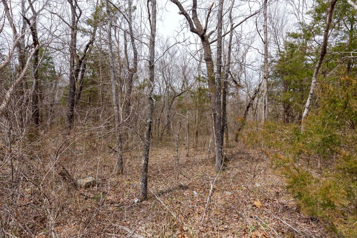 Decorative background for Stone Bridge Phase III Tract 149 image 15