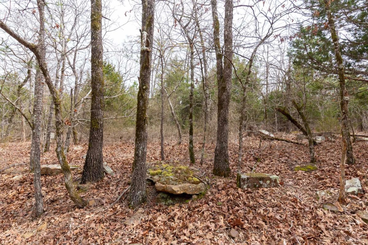 Decorative background for Stone Bridge Phase III Tract 149 image 17