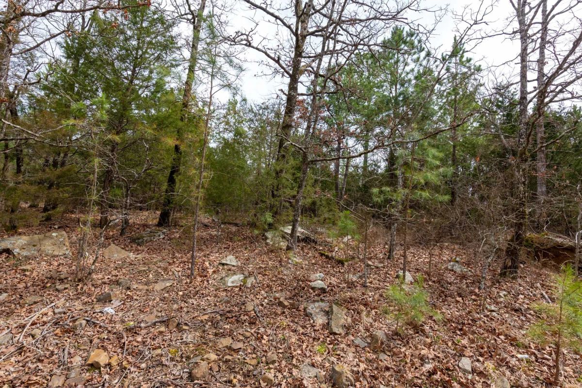 Decorative background for Stone Bridge Phase III Tract 149 image 18