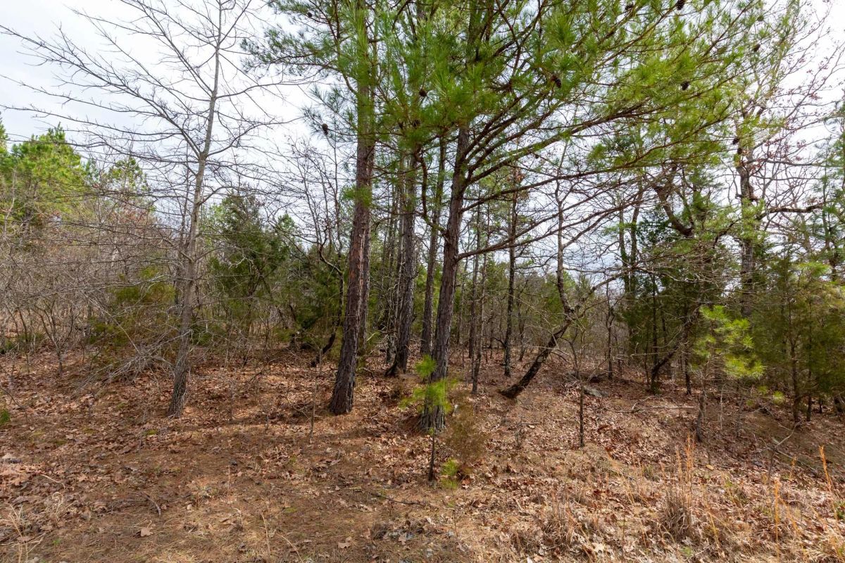 Decorative background for Stone Bridge Phase III Tract 149 image 19