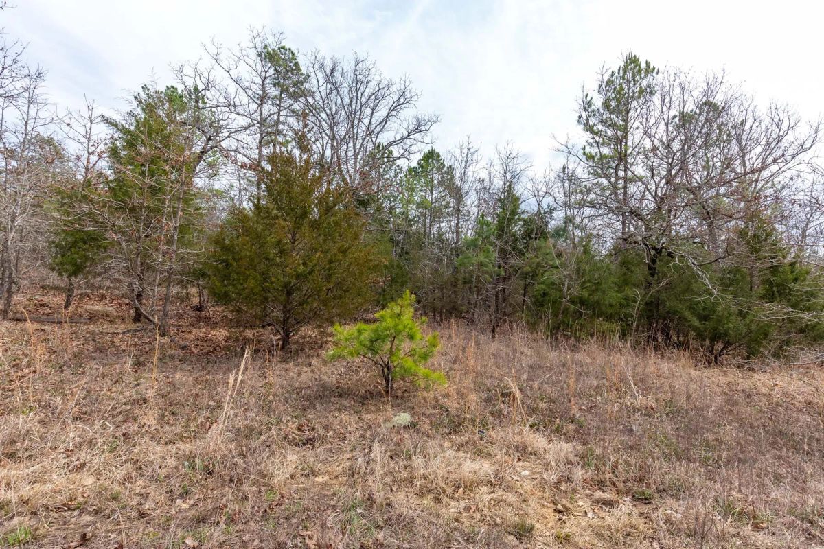 Decorative background for Stone Bridge Phase III Tract 149 image 20