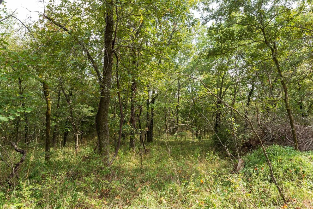 Stone Bridge Phase V Tract 408 - Image 3