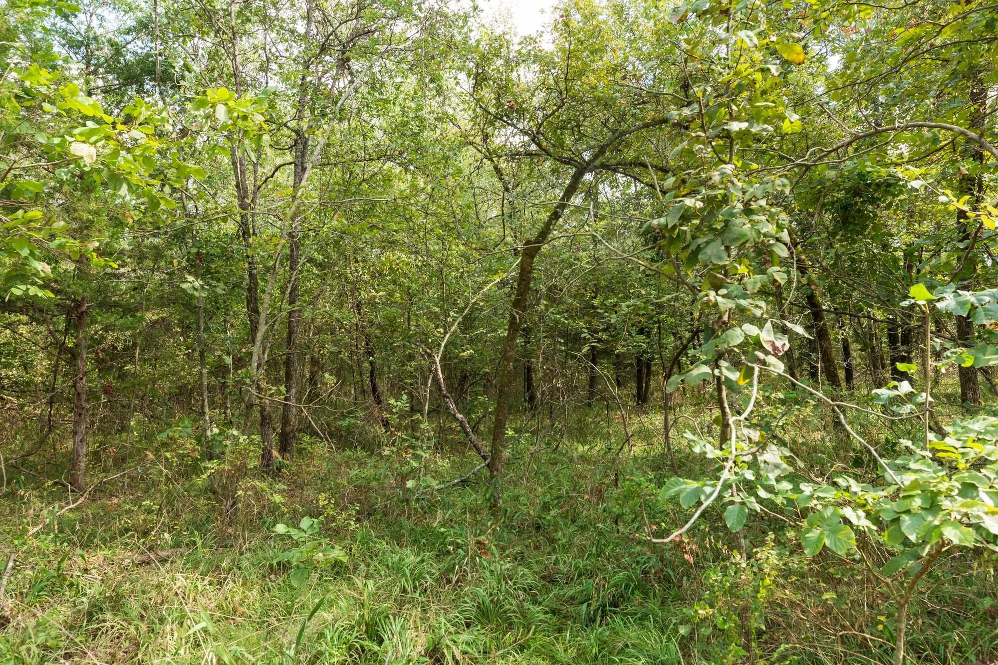 Stone Bridge Phase V Tract 408 in Latimer County, OK