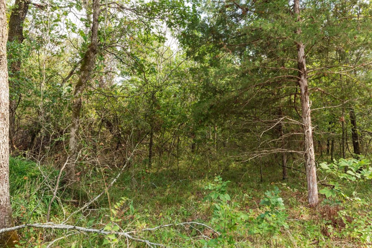 Decorative background for Stone Bridge Phase V Tract 408 image 5