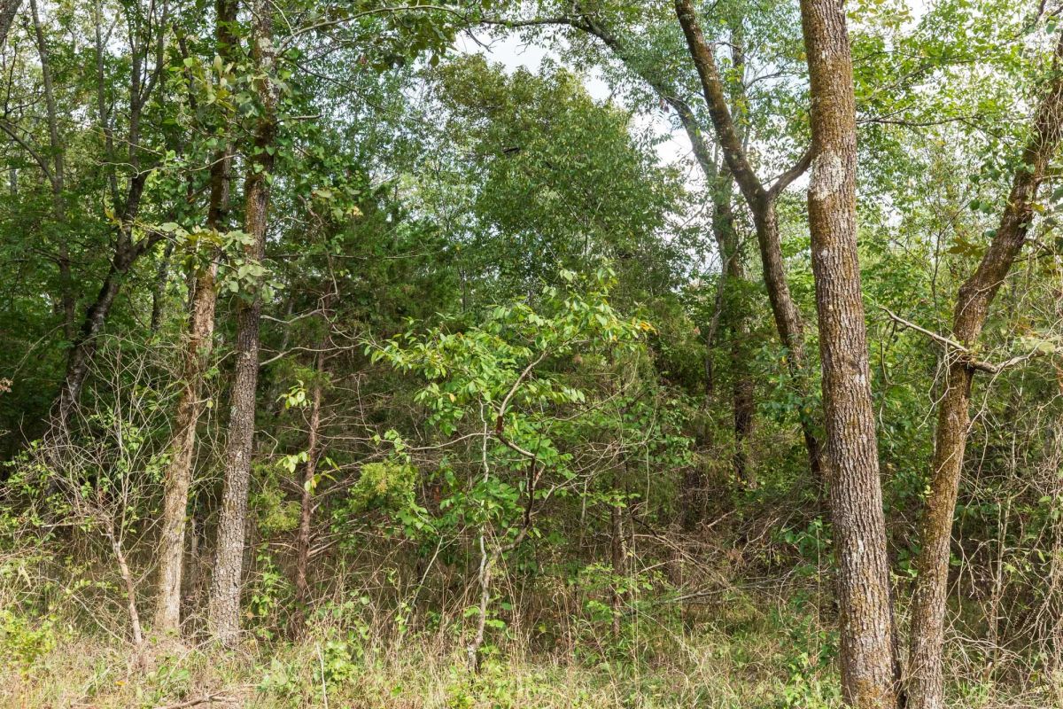 Decorative background for Stone Bridge Phase V Tract 408 image 7