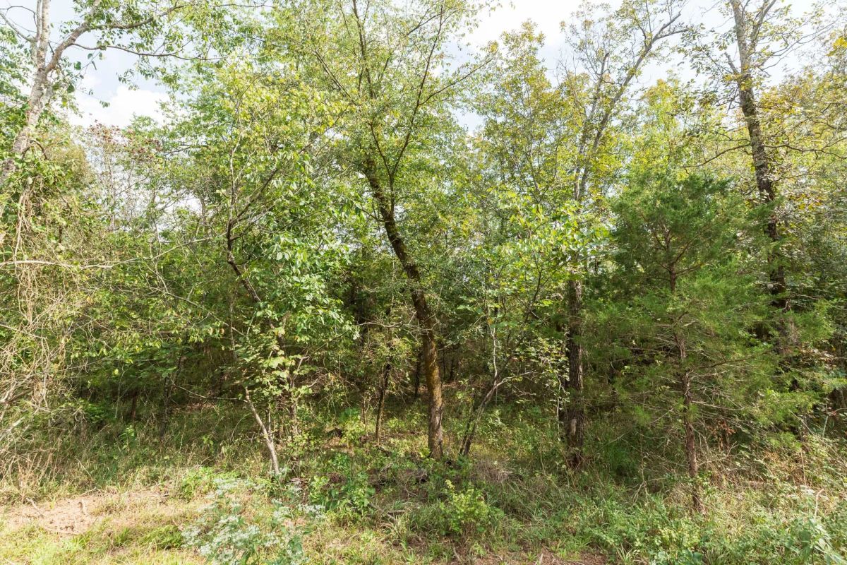 Decorative background for Stone Bridge Phase V Tract 408 image 10