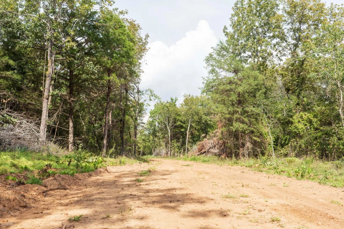 Decorative background for Stone Bridge Phase V Tract 408 image 12