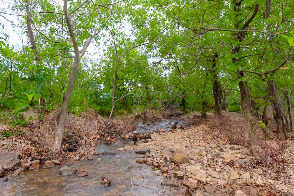 Decorative background for Stone Bridge Phase V Tract 408 image 15
