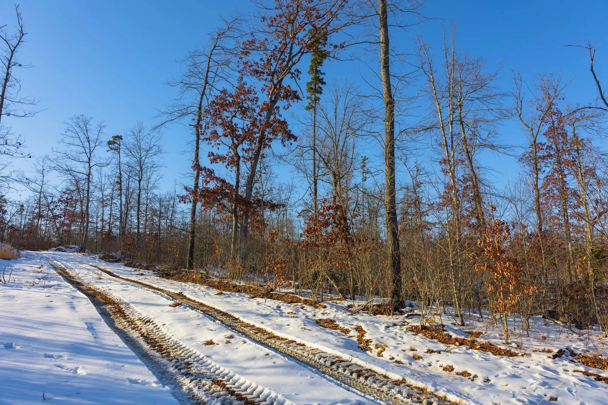Sleepy Hollow Phase I Tract 32 in Texas County, MO