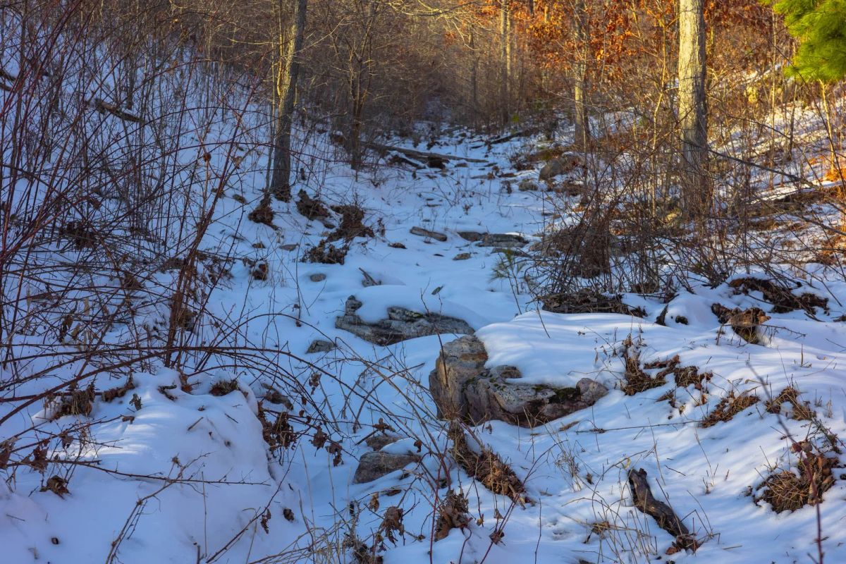 Decorative background for Sleepy Hollow Phase I Tract 32 image 9