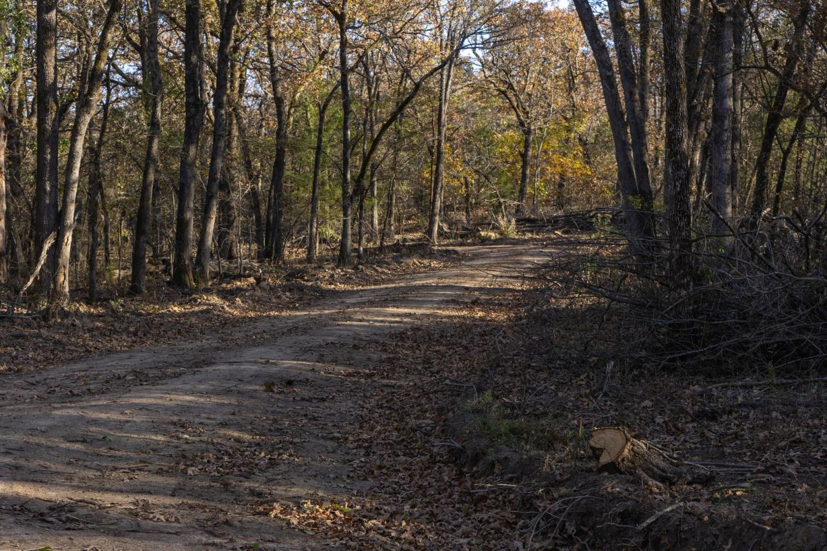 Harmony Hills Tract 52 - Image 3