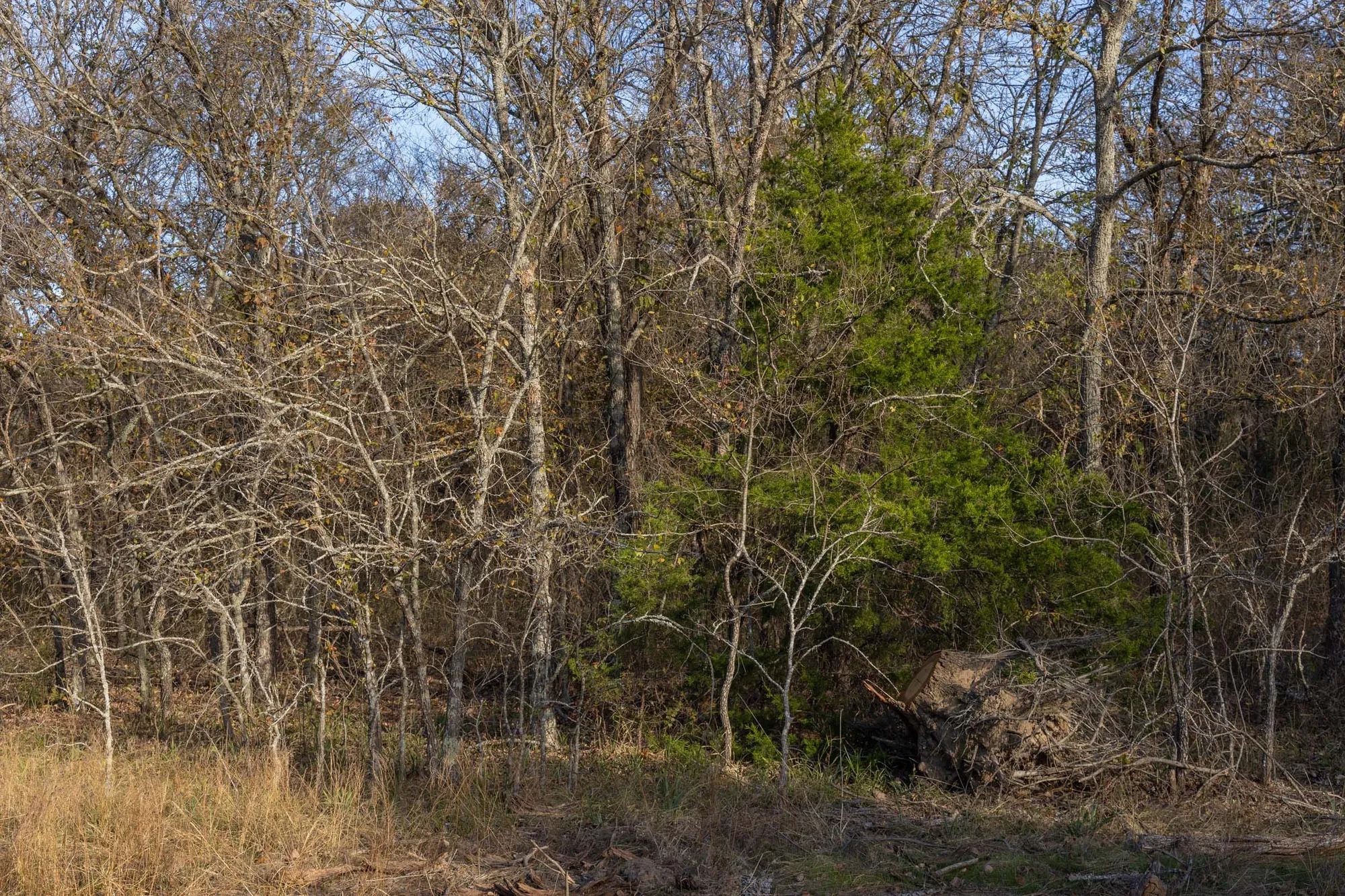 Harmony Hills Tract 52 in Pittsburg County, OK