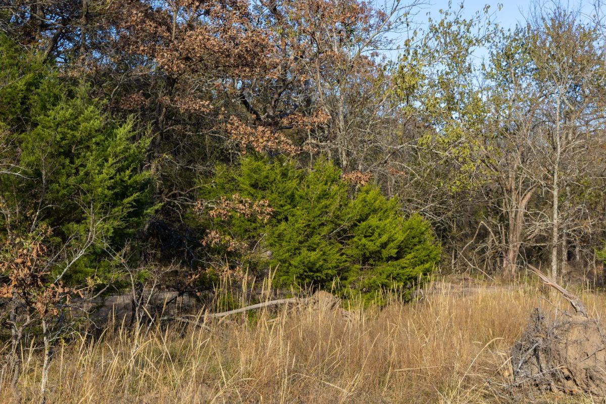 Decorative background for Harmony Hills Tract 52 image 8