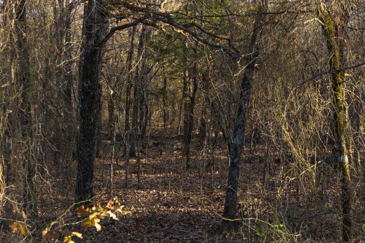 Decorative background for Harmony Hills Tract 52 image 9