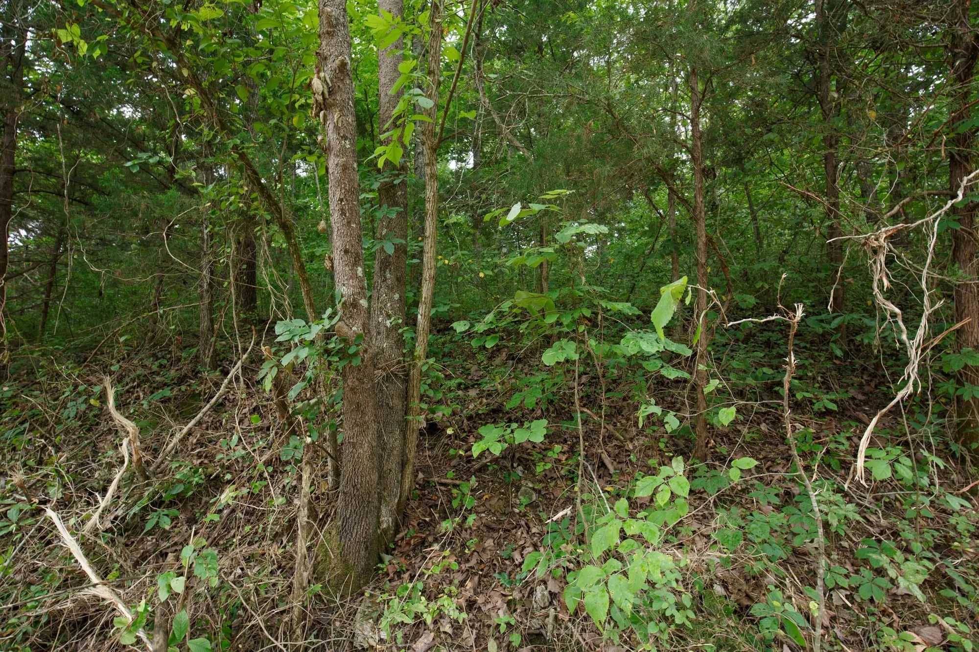 Spring Lake Plat 4 Tract 116 in Miller County, MO