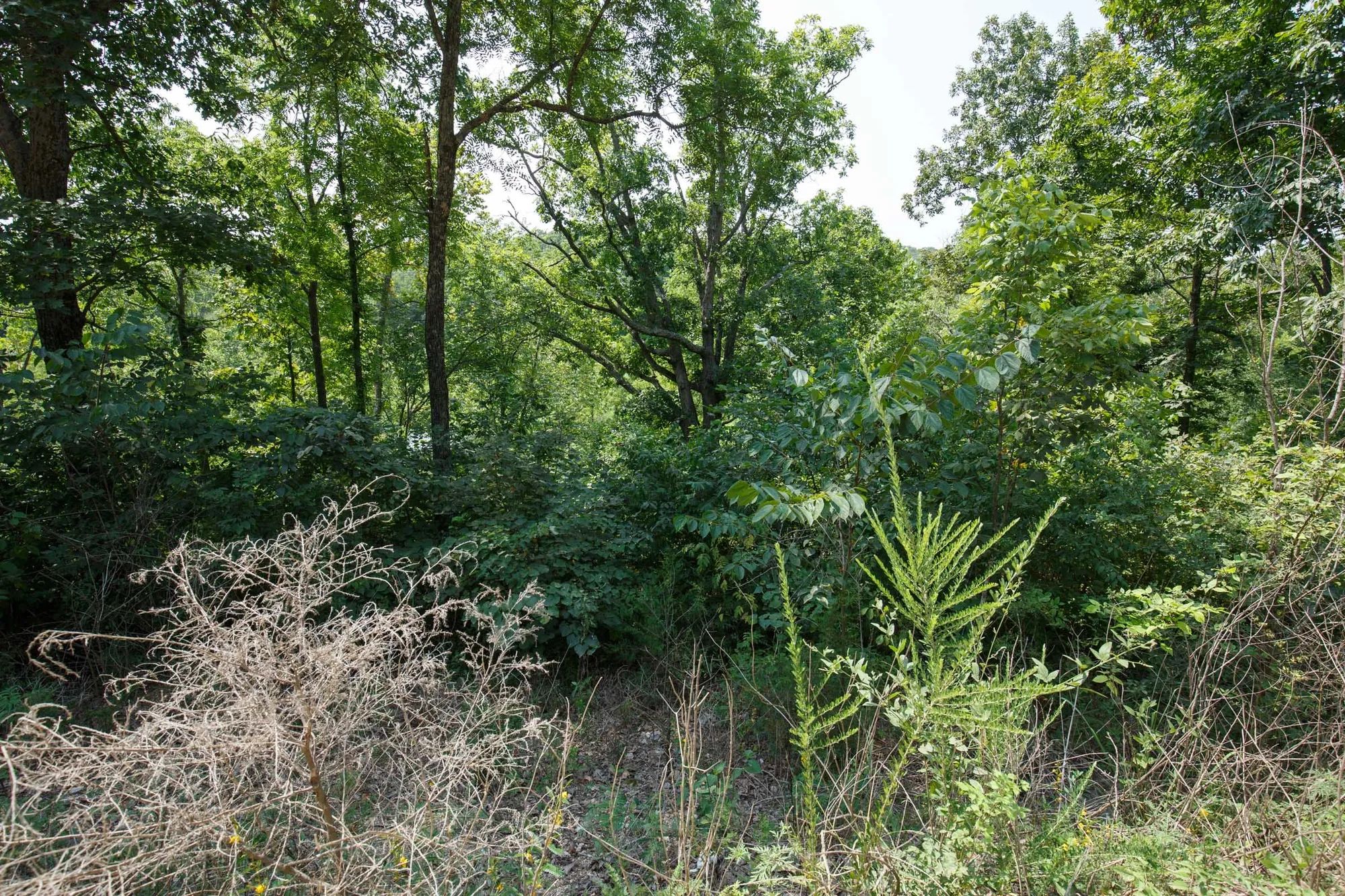 Spring Lake Plat 4 Tract 116 in Miller County, MO