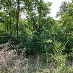 Spring Lake Plat 4 Tract 116 in Miller County, MO