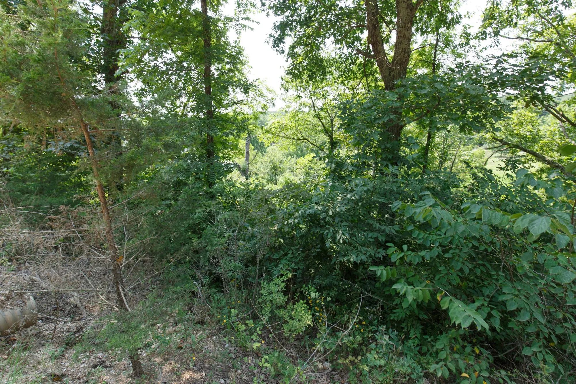 Spring Lake Plat 4 Tract 116 in Miller County, MO
