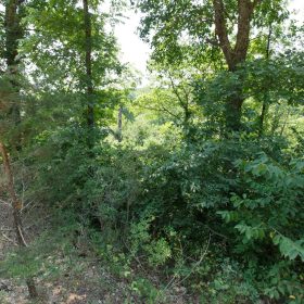 Spring Lake Plat 4 Tract 116 in Miller County, MO