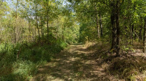 Big White Oak Tract 117 in Perry County, TN