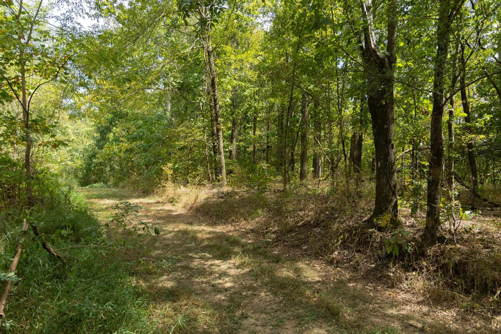 Big White Oak Tract 117 in Perry County, TN