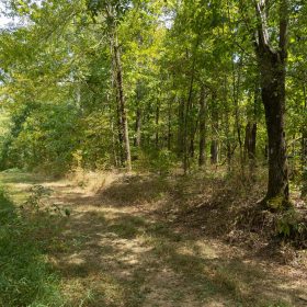 Big White Oak Tract 117 in Perry County, TN