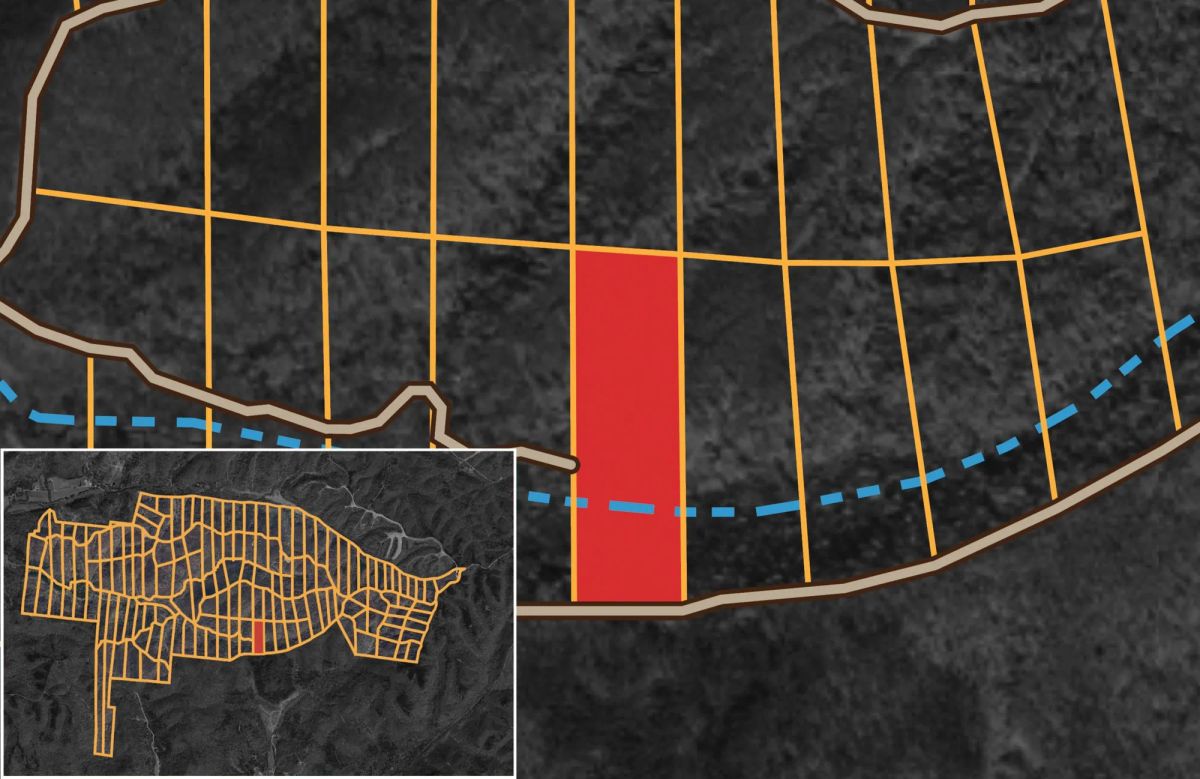 Decorative background for Big White Oak Tract 117 image 18