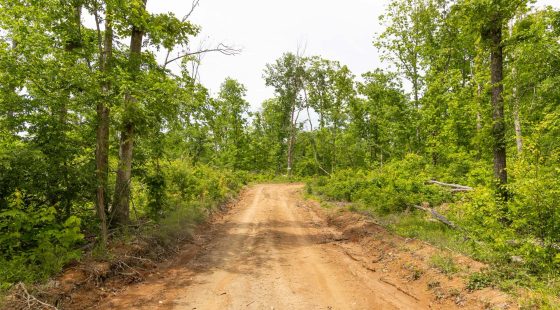 Stardust Estates Tract 12 in Reynolds County, MO