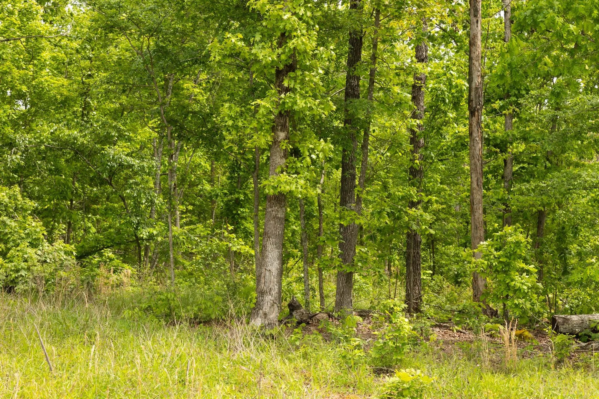 Stardust Estates Tract 12 in Reynolds County, MO